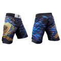 Custom Mens MMA Shorts, artes marciais usa, Shorts Sublimated MMA para Treinamento